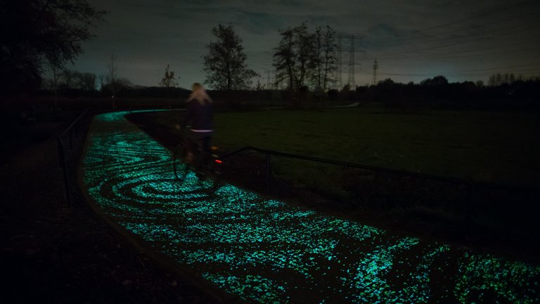 06-vangoghroosegaarde6.jpg