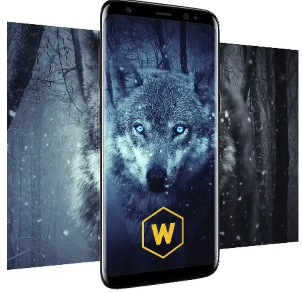 Screenshot_2019-02-14-01-56-45.png