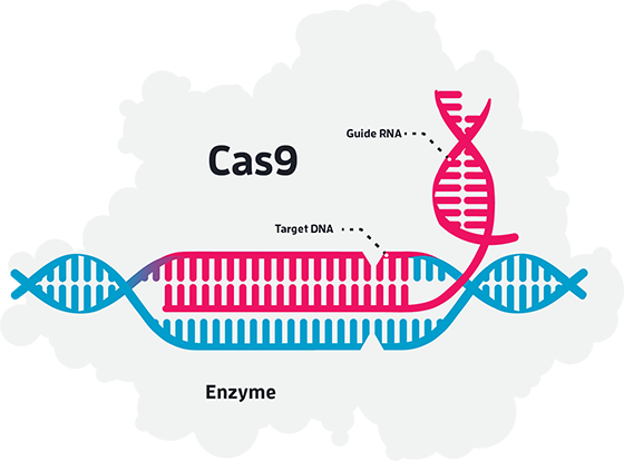 crispr-cas9-cloud-2.png