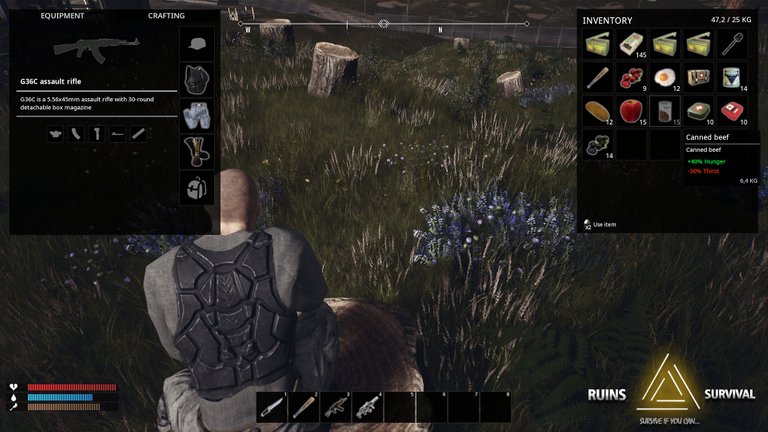 ScreenShoot_player7.jpg