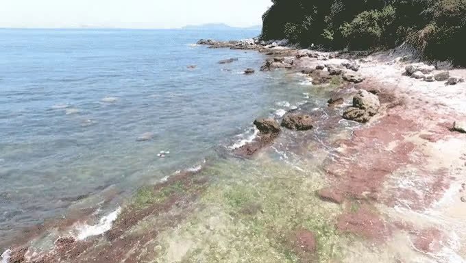 ed72d5b7342511b2168a3b4873f2ea5b_original.mp4