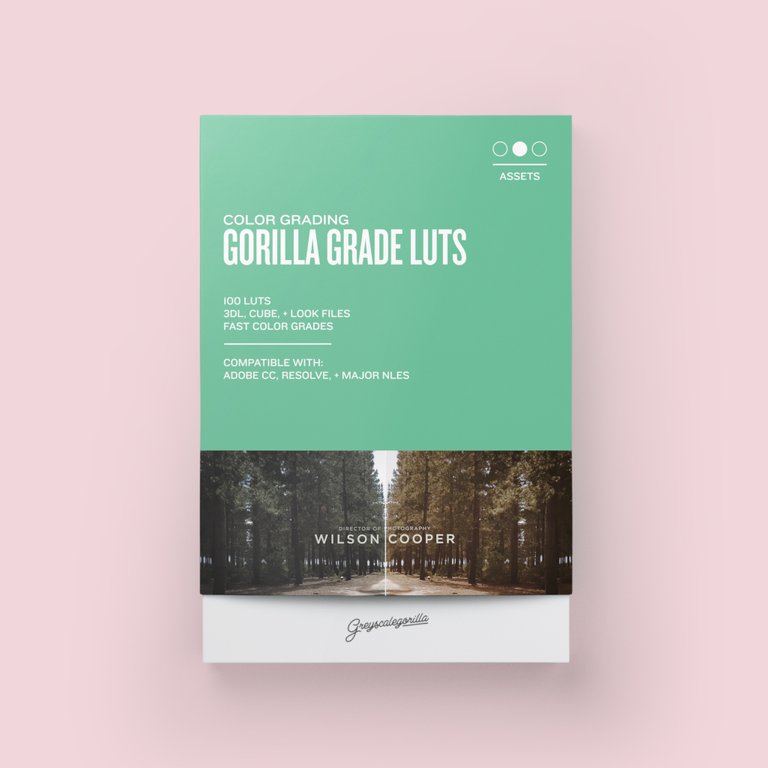 Gorilla-Grade-LUTs-Box-Med.jpg