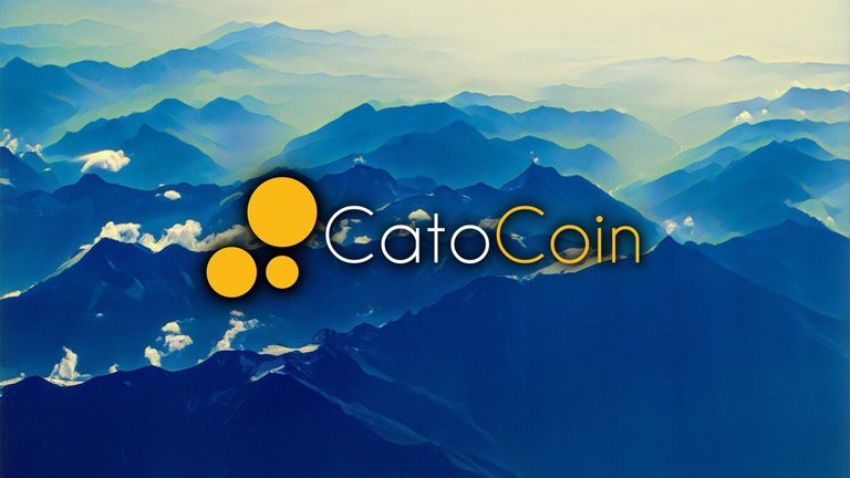 catocoin-backdrop-1.jpg