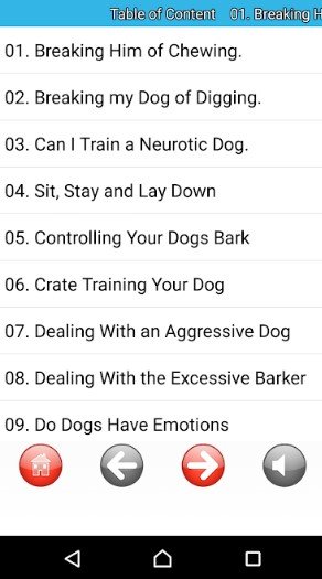 dog2.jpg