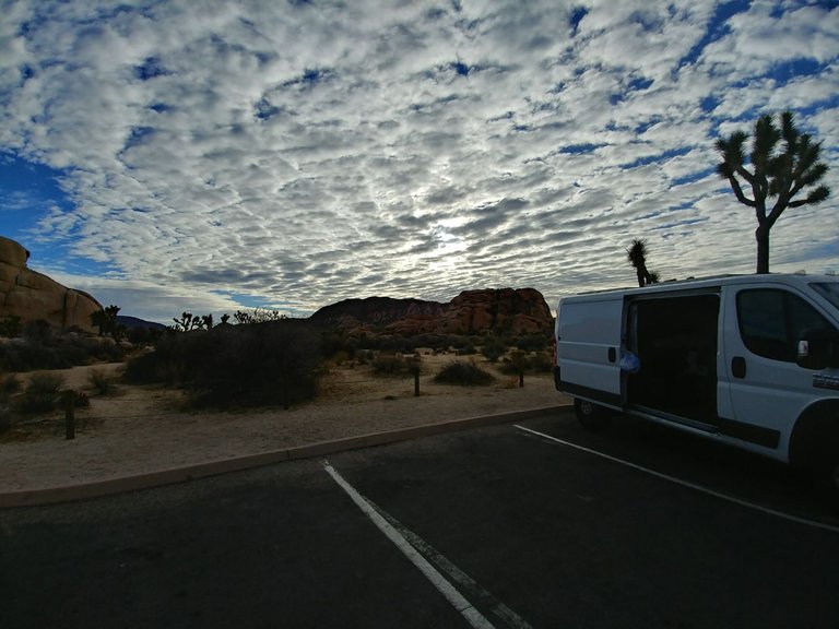 Joshua Tree National Forest