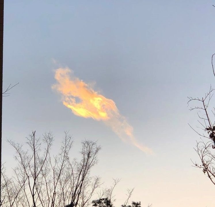 KakaoTalk_20190108_113233760.jpg