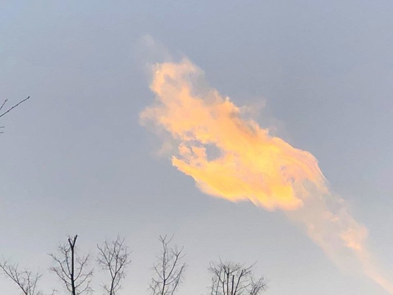 KakaoTalk_20190108_113232188.jpg