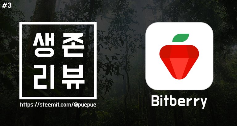 Bitberry_커버사진.jpg