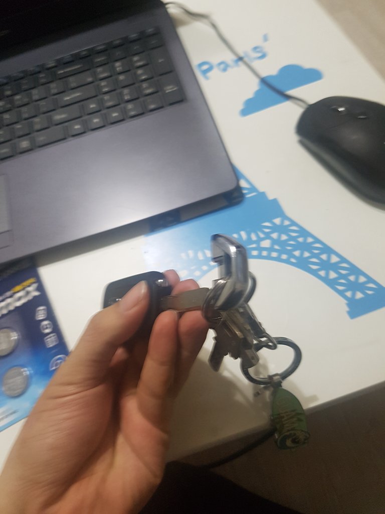 20181103_070208.jpg