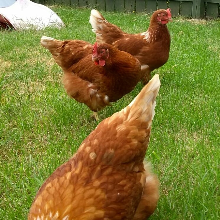 413120fb5d8c84622ec209b44a626118