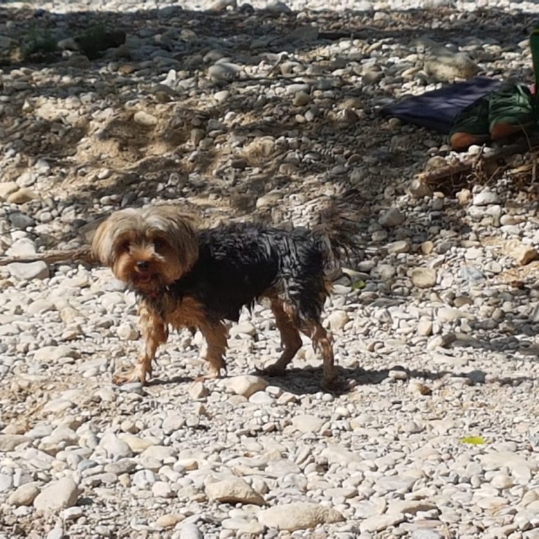 52a23c0e557854cf659b3e2d75b3662b