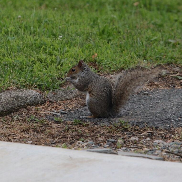 91e9c56b4623e8cae8f1202e082d1686