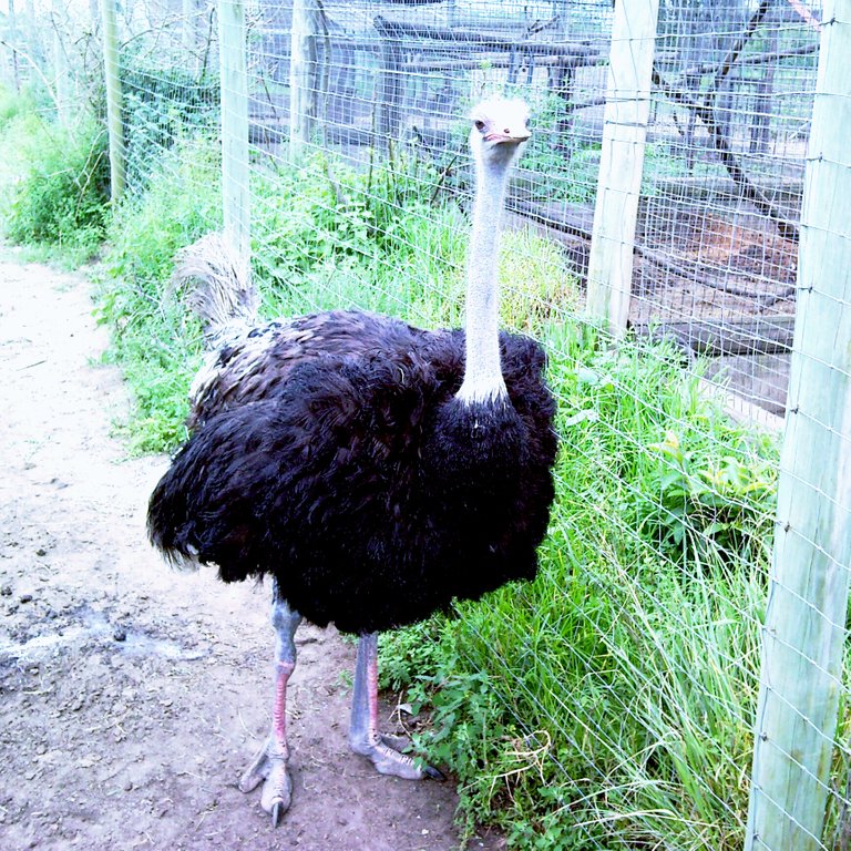 96375a155eb42d5eca8f4304ce6d2797