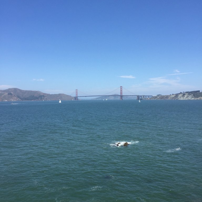 a744a7c16f5a971111fd17297e027aca