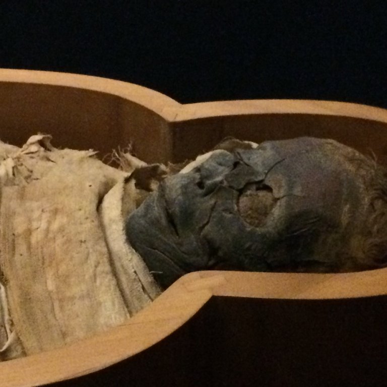 ae91d49fa86a1663b63f95a96d5d8cb6