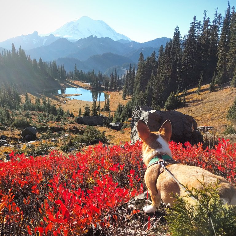 c96be54b8292bc3362de86e6fd5dadf9