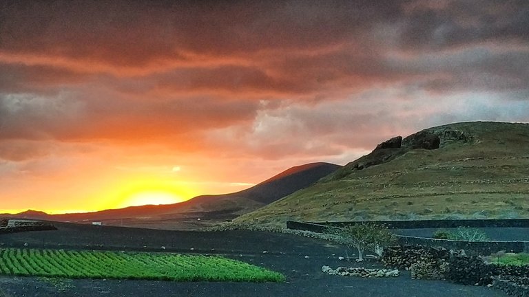 495c6f9db8c47ceea1d4cc7ef0f284d4