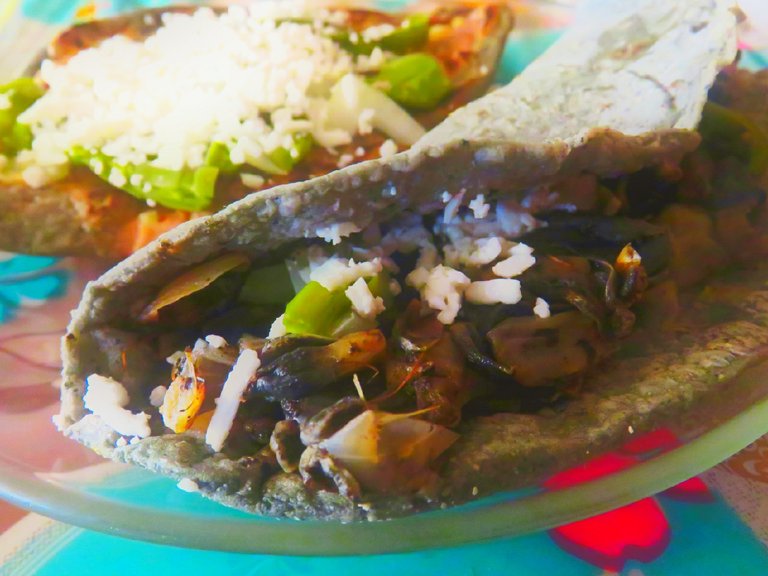 77a2c023c04ee9b8fb965623c16d9924