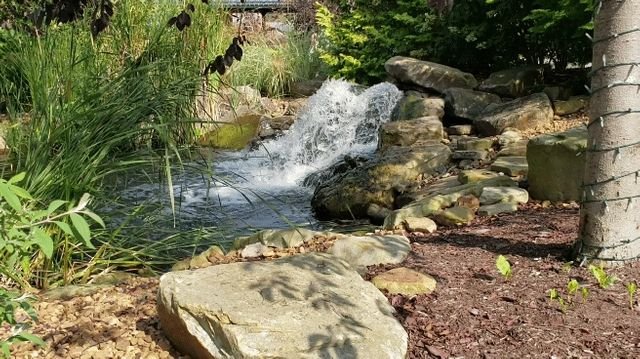 19b220ddbb84ea66218b9f758bae01ba