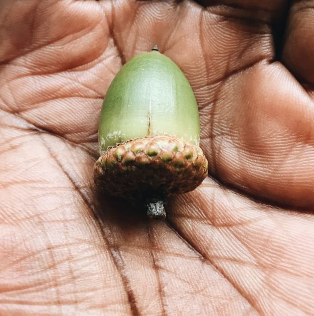 2bf203aa6112ea9c039515c9ed638f8d