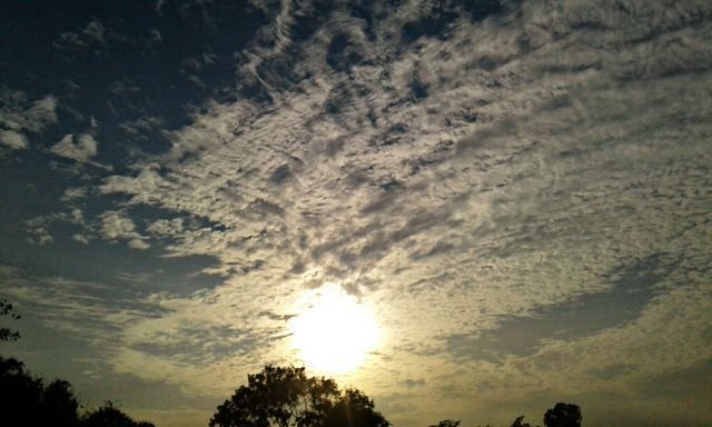 3fd78412ea784cd26aa8655ffa95a065