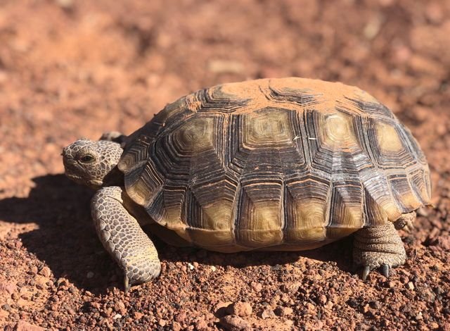 45e0dbe894d933e7fea1046611a741d7