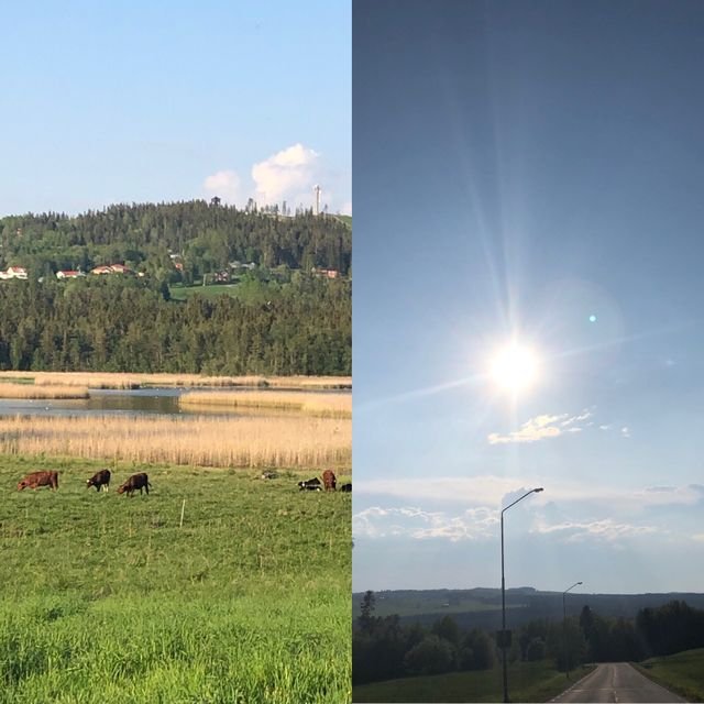 52310a2b7011b3c6055a7705eb21f010