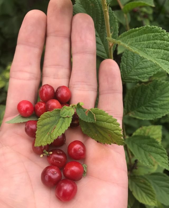 6d06057c262a518f782db1e460db93d3