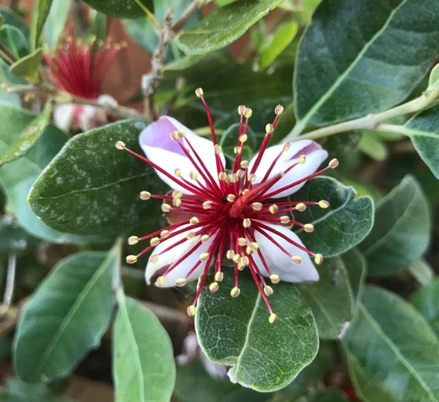 946af5a43753ff39e8582f790fc82fea