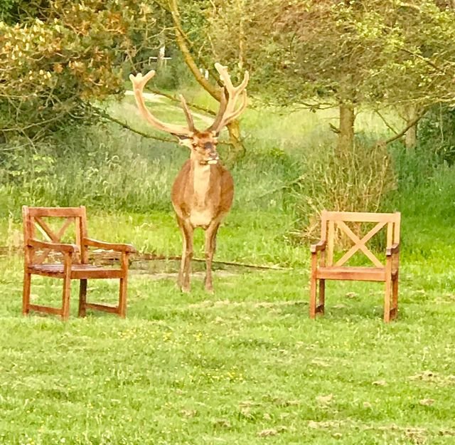 af112be93803086ee3ba358ad544df74