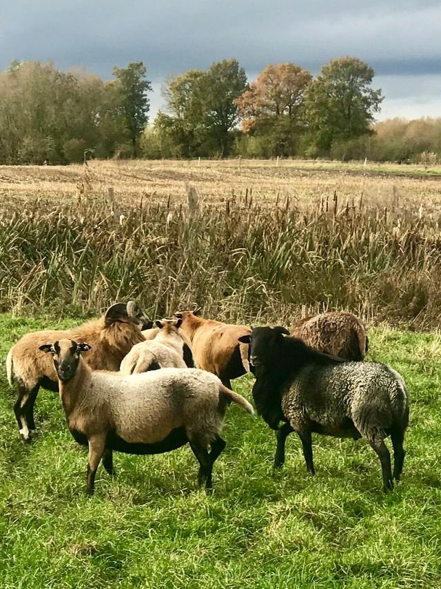 b25a7c27a96f5169daa78286de0bea86