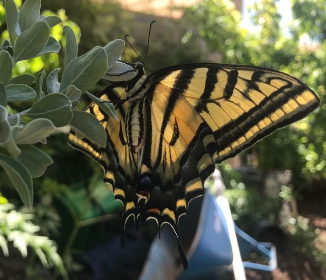 be47cb08ad98a7c267e5a5cdda36f8b7