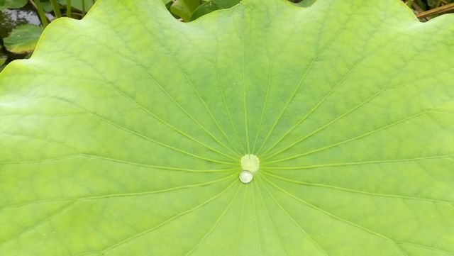 d58c8a928a68fd209a84d6ae06f5fb56