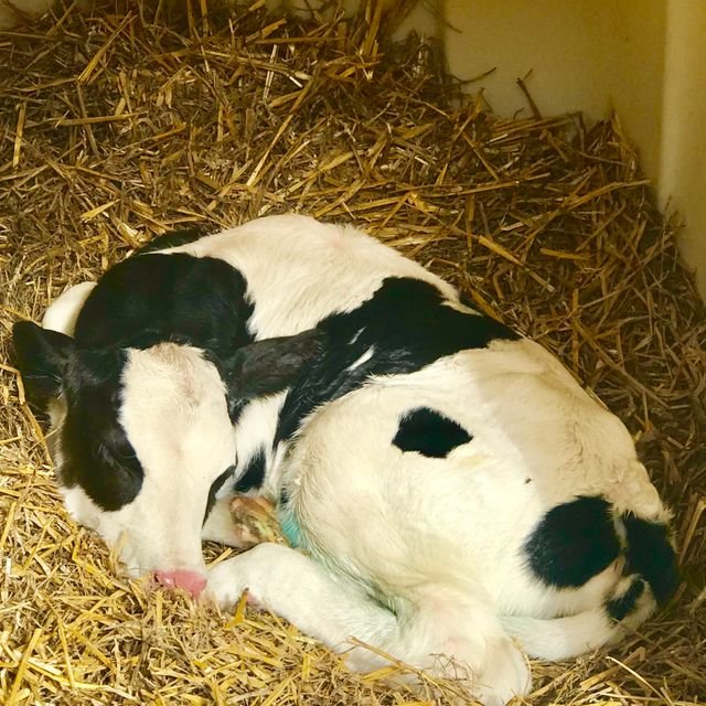 e096b76b9eeb8782f3d2f1c3b57d3fba