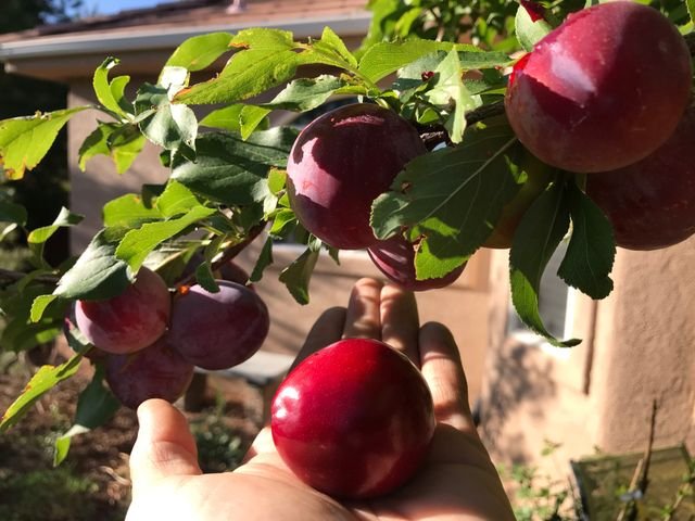 f3c8a4cd033832b99f4e0bcb856166c7