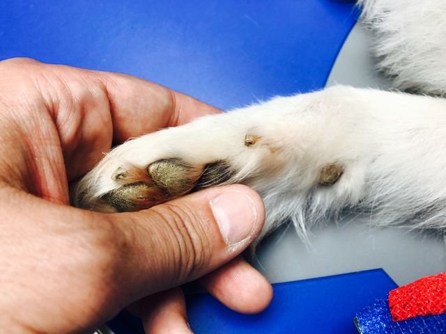 fed420b6c1dce37e5a5817dd1054e85f