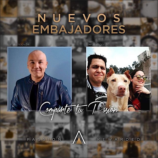 08b71339f8505f33ebf5ef8a5bc25794