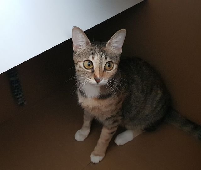 0d417feaac4c5d2fe06a638f1030e05a