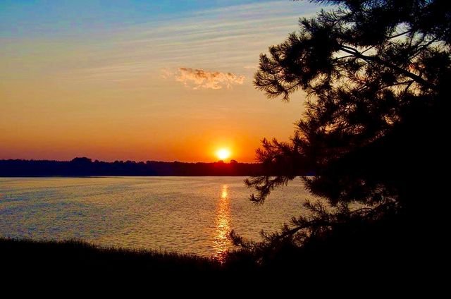 115ca89ed7a5b960511a0c93ae7ed8a3