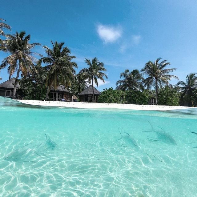 1433ec5413c85daac936e3841a78e94c