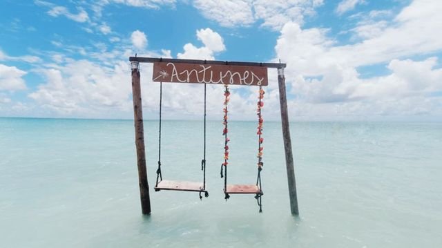 1665ed3b7e46991fb5d45b1d1f973250