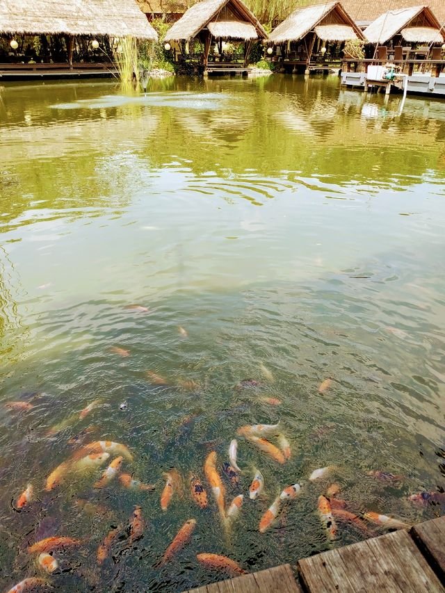 16c0d87dfca81aea9d0c55a0e0c8ecb4