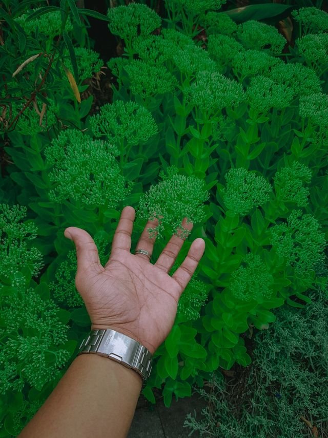 1724a98c0e3f9030d2b906215c2238b6