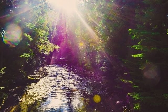 1af52e44de28ec5c91d81d446948f127