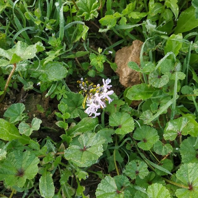 1c92f3e1deb98bc41f8d29cbd3de4b7e