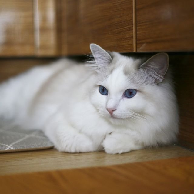 1e5b403cd581827e085d352f44f10b98