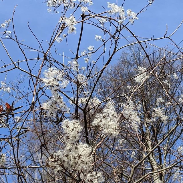 1f02424dd8f396b0c7815d4bf913da5d