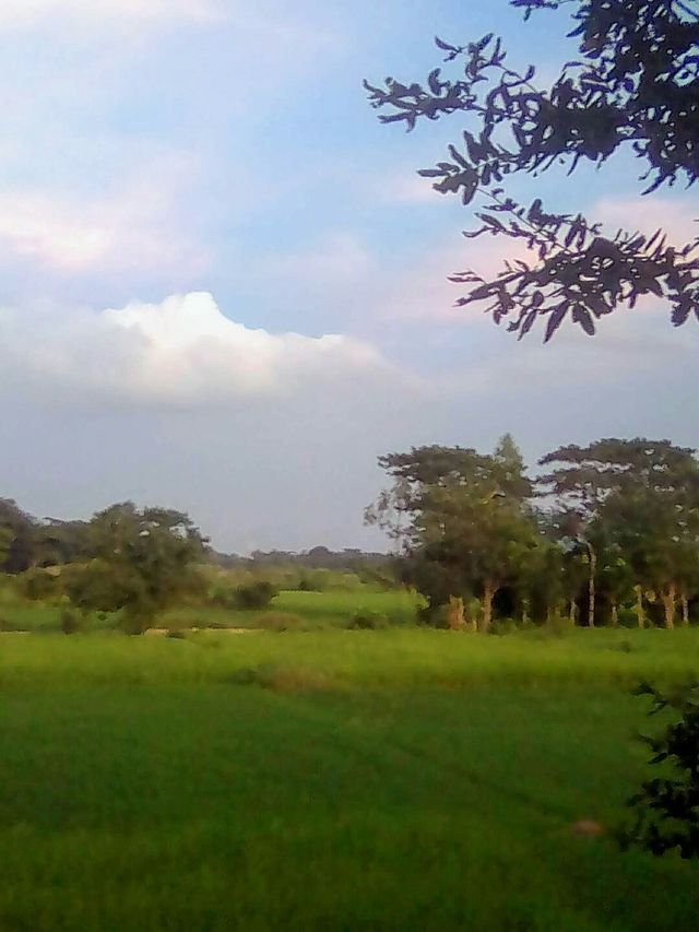 1f0f8932f3222daff9cb27cf50e39dbf