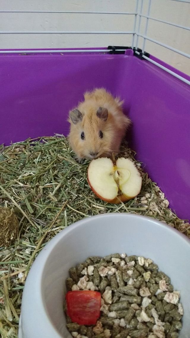 21a334e3448876207ca5a8ac2d84dc51