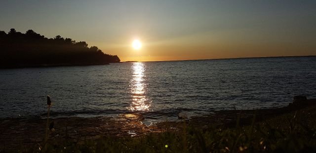 22ea8882272e502ee0553d44d7a56790